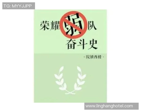 深圳篮球队转型之路揭秘总决赛背后的奋斗与荣耀